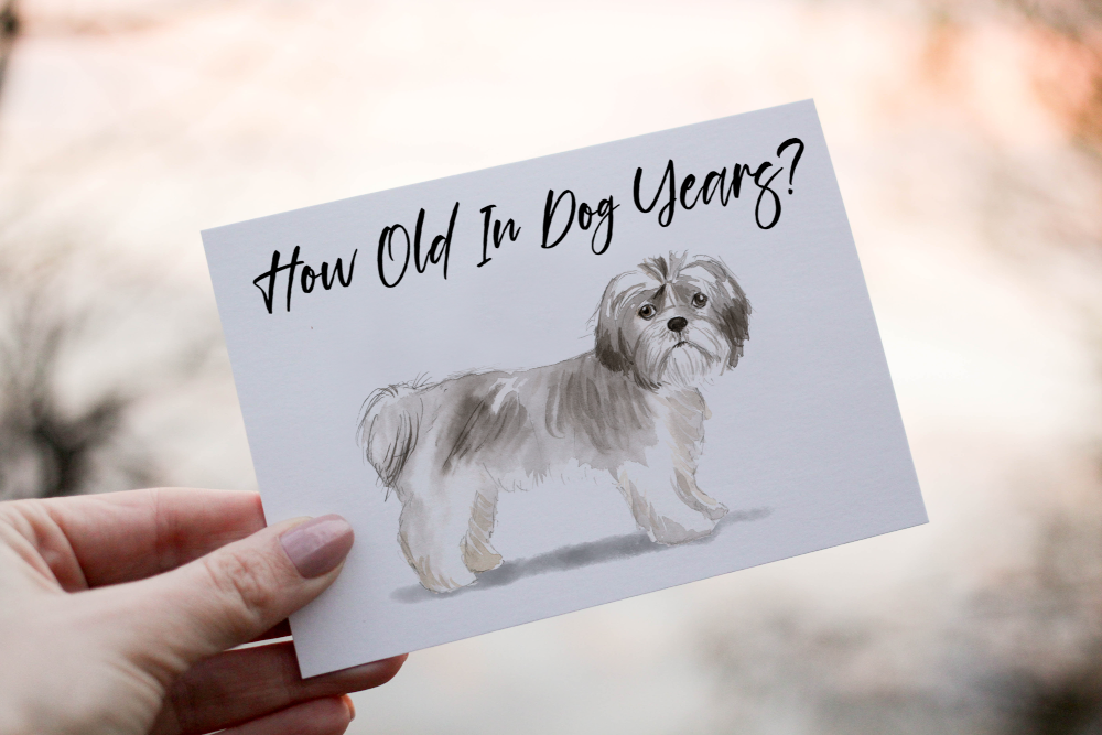 Shih Tzu Dog Birthday Card, Dog Birthday Card, Personalized Card